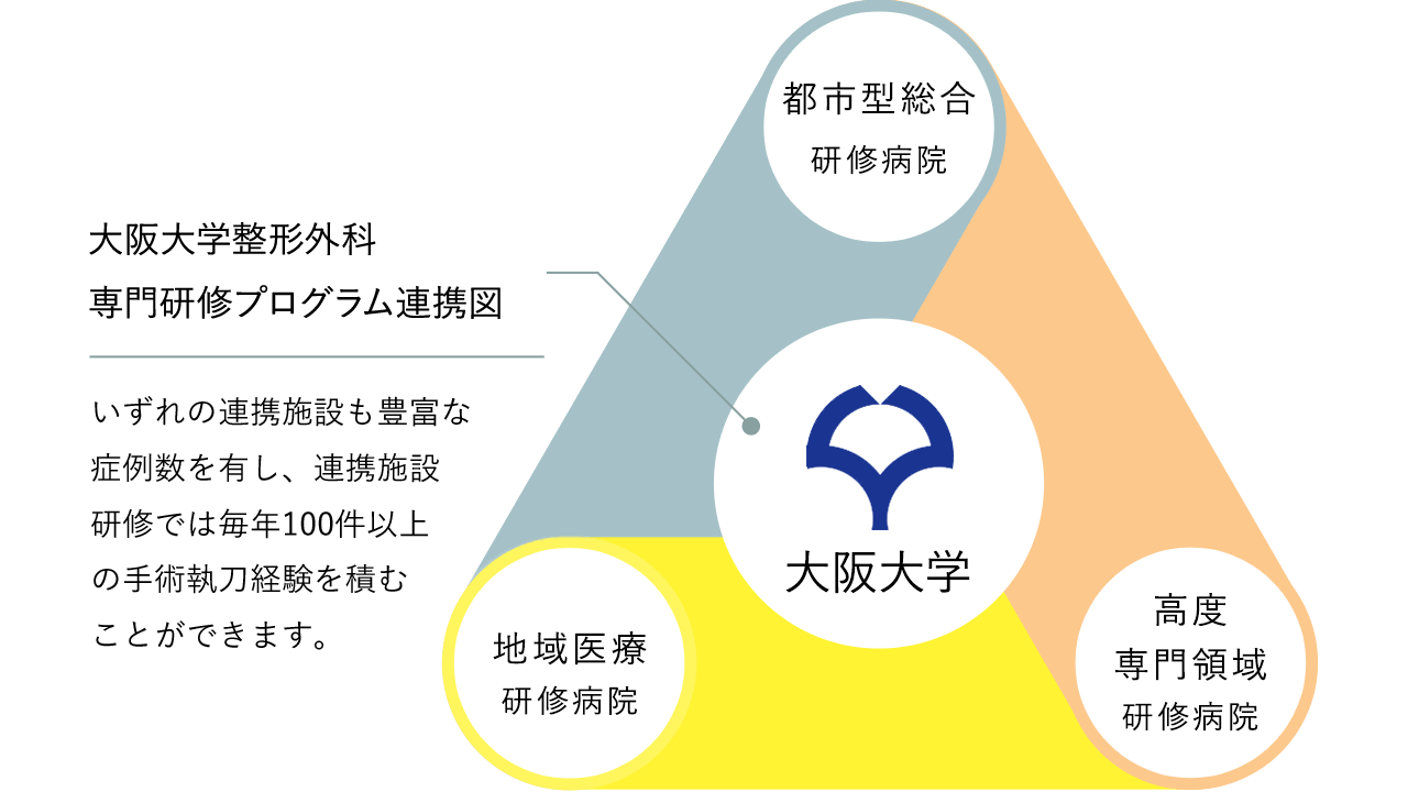 大阪大学整形外科 専門研修プログラム連携図 大阪大学整形外科は、西日本の経済・文化の主要都市大阪を中心とした多数の関連病院を擁し、それぞれ都市型総合研修病院、高度専門領域研修病院、地域医療研修病院となっており、いずれの連携施設も豊富な症例数を有し、連携施設研修では毎年100件以上の手術執刀経験を積むことができます。